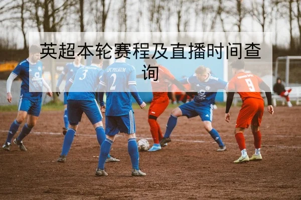 足彩总进球数盘口术语与风险控制规则解读