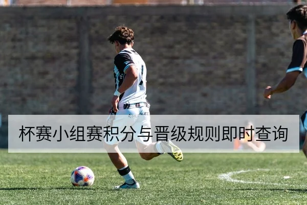 杯赛小组赛积分与晋级规则即时查询